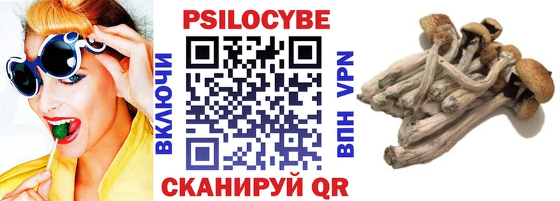 Галлюциногенные грибы Cubensis  Тайга 